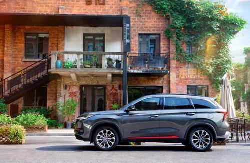 长安明星的照片,光影中的璀璨星光