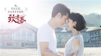 致青春四十集免费观看,四十集免费观看，青春回忆再现