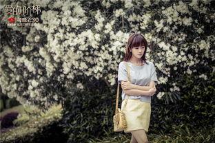 爱的阶梯全集免费观看,浪漫情感之旅，共度甜蜜时光