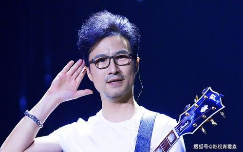 汪峰的明星粉丝,星光熠熠的追随者世界