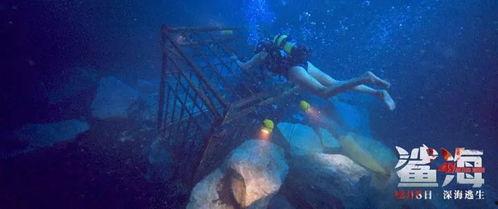 海底av,揭秘海底神秘AV世界