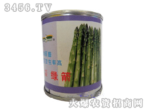 绿箭 日本,日本动漫的青春热血传奇