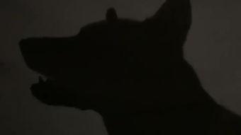 恶魔缠身在线播放,在线播放，揭秘神秘诅咒之谜