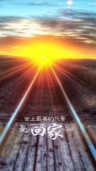 回来的路免费观看