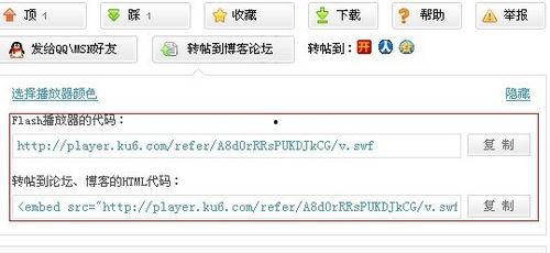 青娱乐视频网址,热门娱乐内容一网打尽