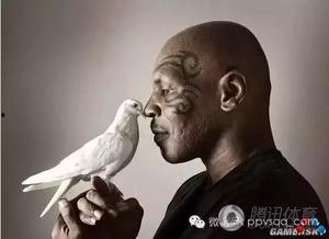 泰森av作品种子,激情燃烧的视觉盛宴