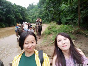 琥珀沙野加人妖无码,人妖无码的奇幻世界探索之旅