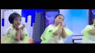 虫儿飞视频大全,探索自然之美