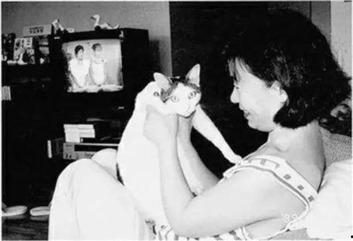 xxx情色日本,情色日本背后的文化现象