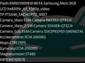 最新全面爆料视频大全集,最新爆料视频大全集深度解析