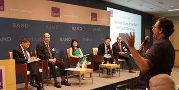 瑞典爆料兰德智库视频,揭秘其背后的真实意图