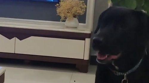 非常帮助激烈打架视频,冲突升级引发社会关注