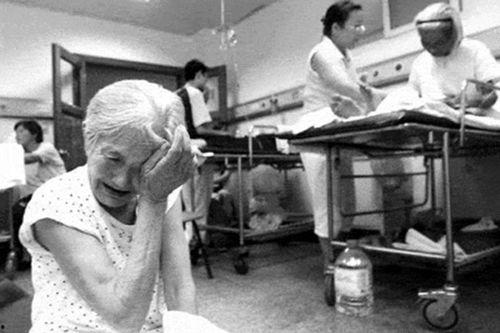 日本遗弃老人猫眼,孤独岁月中的温暖守护