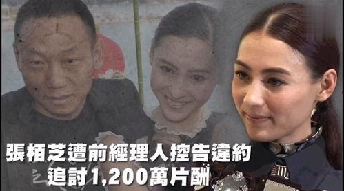 娱乐吃瓜被告了吗,被告上法庭，真相究竟如何？