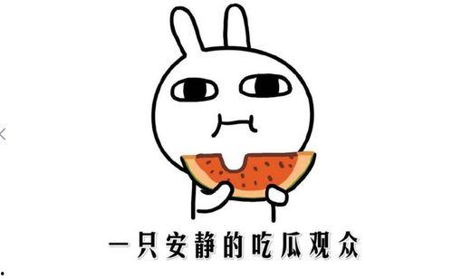 吃瓜事件最新,揭秘网络舆论背后的真相与争议